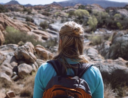 How Much Does a Small Business Website Cost in Prescott? (2026 Pricing Guide)